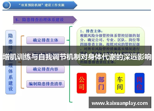 增肌训练与自我调节机制对身体代谢的深远影响